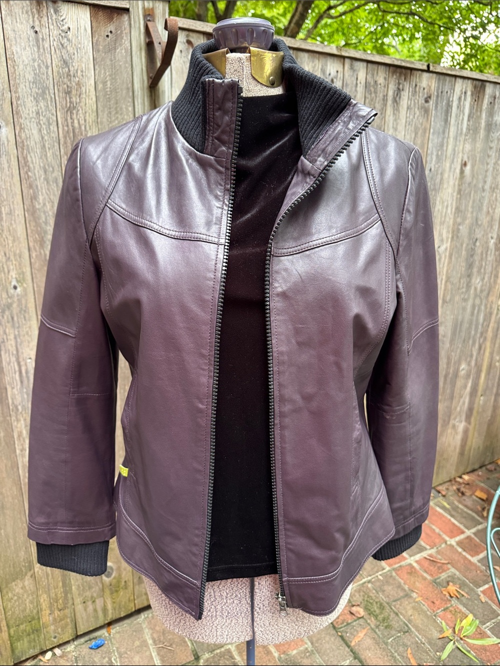 Soia & Kyo Plum Leather Look bomber Jacket with Rib Trim